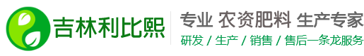 吉林利比熙
